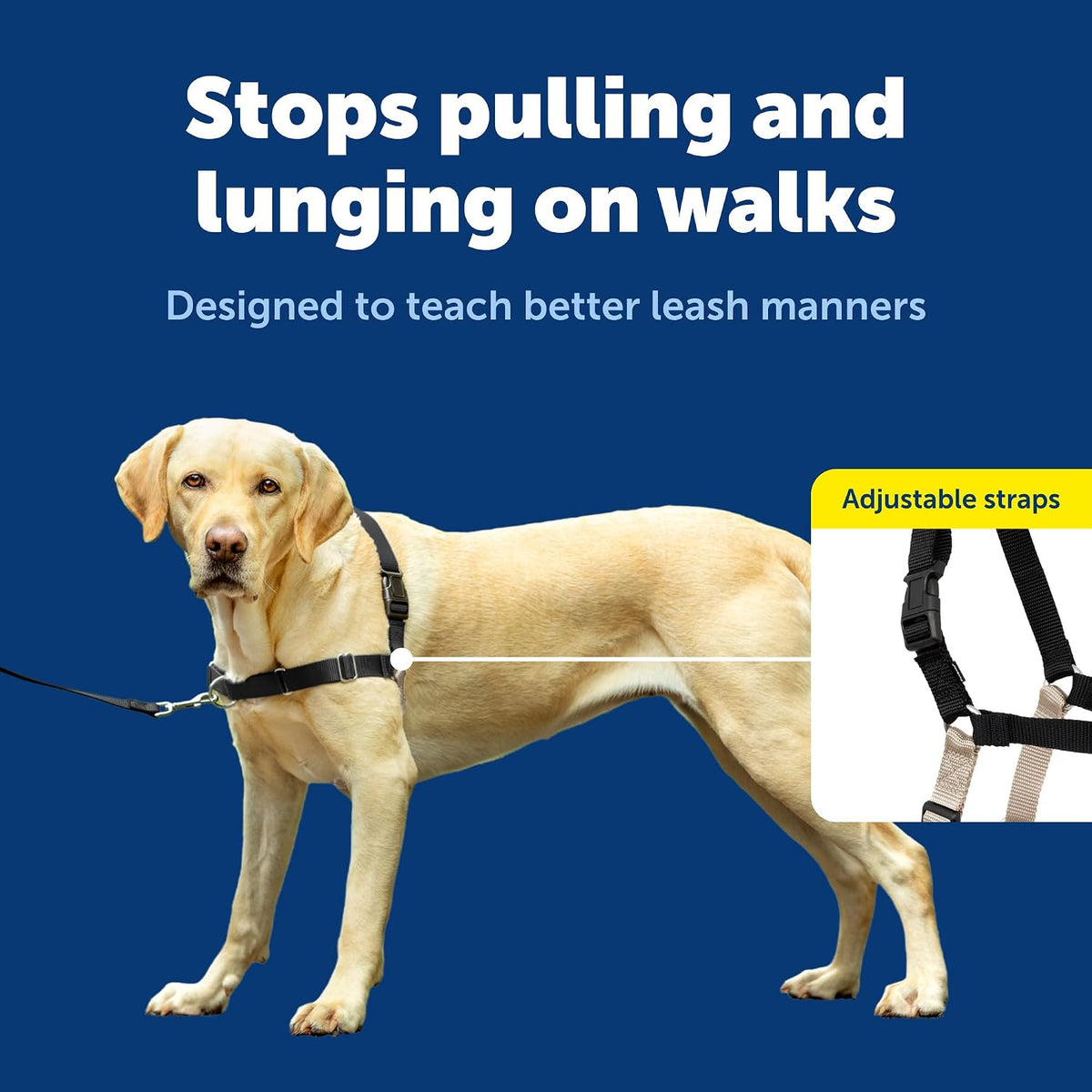 Easy Walk Harness, No Pull Dog Harness, Black, Medium | Patented Martingale Loop Gives Gradual Shoulder Pressure to Stop Pulling, Front-Chest Leash Clip Prevents Gagging