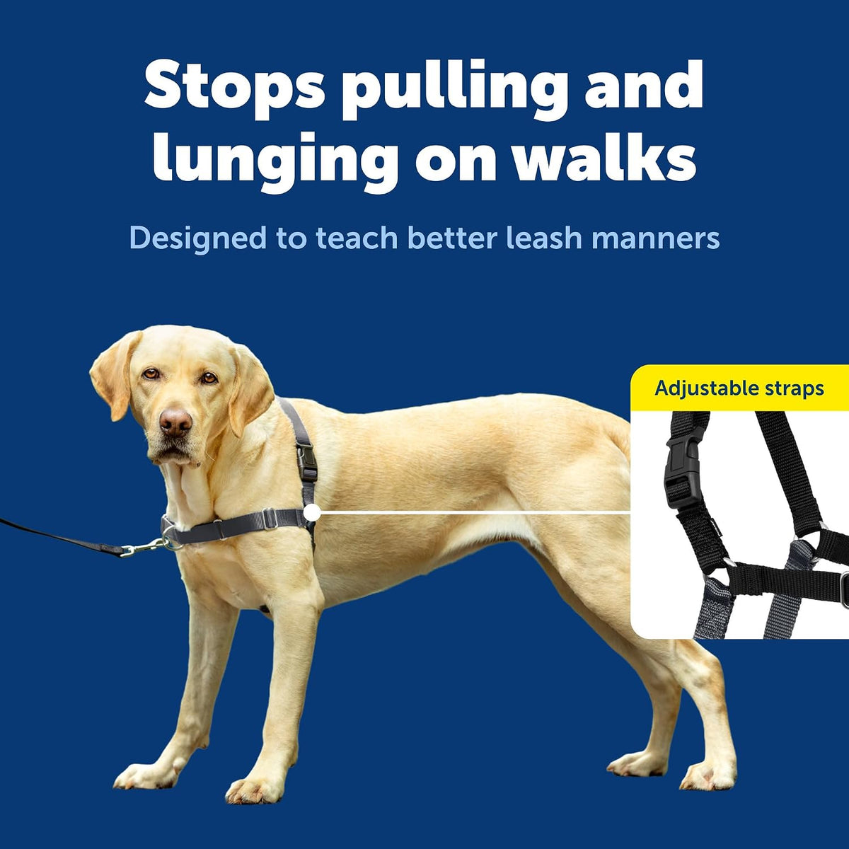 Easy Walk Harness, No Pull Dog Harness, Black, Medium | Patented Martingale Loop Gives Gradual Shoulder Pressure to Stop Pulling, Front-Chest Leash Clip Prevents Gagging