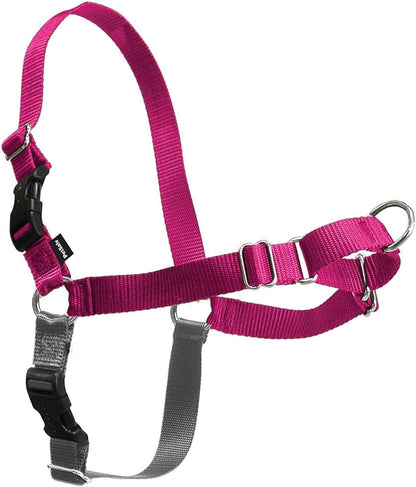 Easy Walk Harness, No Pull Dog Harness, Black, Medium | Patented Martingale Loop Gives Gradual Shoulder Pressure to Stop Pulling, Front-Chest Leash Clip Prevents Gagging