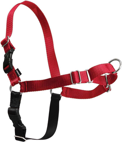 Easy Walk Harness, No Pull Dog Harness, Black, Medium | Patented Martingale Loop Gives Gradual Shoulder Pressure to Stop Pulling, Front-Chest Leash Clip Prevents Gagging