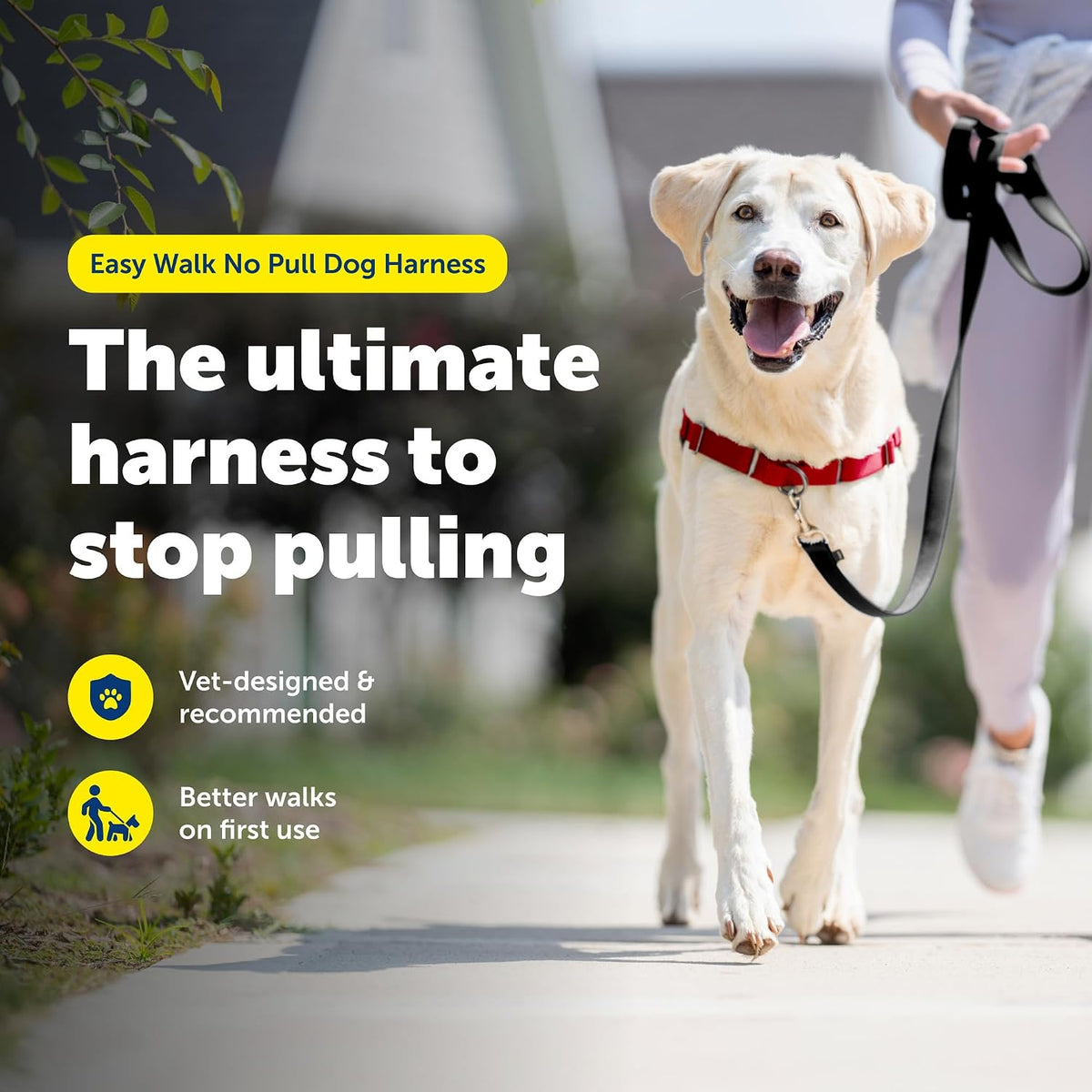 Easy Walk Harness, No Pull Dog Harness, Black, Medium | Patented Martingale Loop Gives Gradual Shoulder Pressure to Stop Pulling, Front-Chest Leash Clip Prevents Gagging