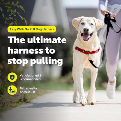 Easy Walk Harness, No Pull Dog Harness, Black, Medium | Patented Martingale Loop Gives Gradual Shoulder Pressure to Stop Pulling, Front-Chest Leash Clip Prevents Gagging