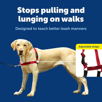 Easy Walk Harness, No Pull Dog Harness, Black, Medium | Patented Martingale Loop Gives Gradual Shoulder Pressure to Stop Pulling, Front-Chest Leash Clip Prevents Gagging