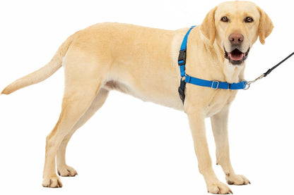 Easy Walk Harness, No Pull Dog Harness, Black, Medium | Patented Martingale Loop Gives Gradual Shoulder Pressure to Stop Pulling, Front-Chest Leash Clip Prevents Gagging