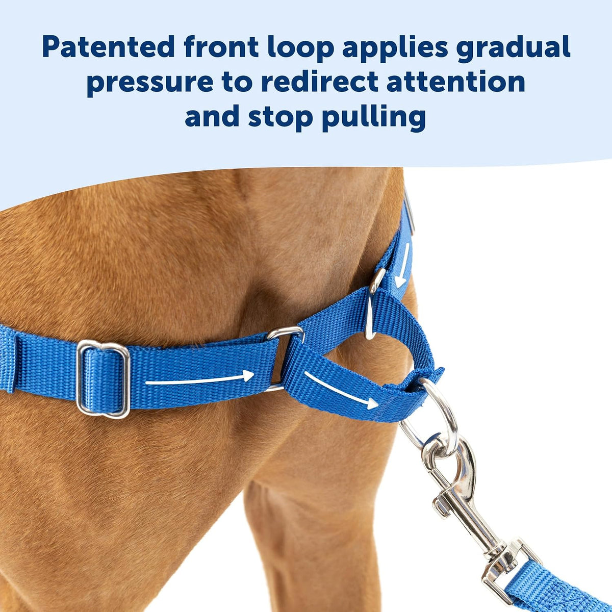 Easy Walk Harness, No Pull Dog Harness, Black, Medium | Patented Martingale Loop Gives Gradual Shoulder Pressure to Stop Pulling, Front-Chest Leash Clip Prevents Gagging