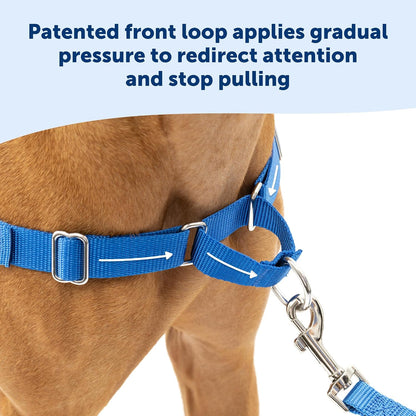 Easy Walk Harness, No Pull Dog Harness, Black, Medium | Patented Martingale Loop Gives Gradual Shoulder Pressure to Stop Pulling, Front-Chest Leash Clip Prevents Gagging