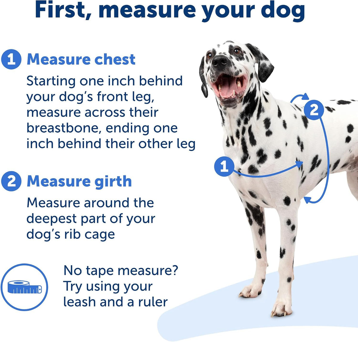 Easy Walk Harness, No Pull Dog Harness, Black, Medium | Patented Martingale Loop Gives Gradual Shoulder Pressure to Stop Pulling, Front-Chest Leash Clip Prevents Gagging