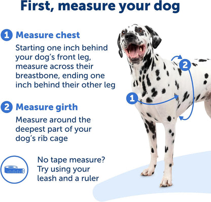 Easy Walk Harness, No Pull Dog Harness, Black, Medium | Patented Martingale Loop Gives Gradual Shoulder Pressure to Stop Pulling, Front-Chest Leash Clip Prevents Gagging