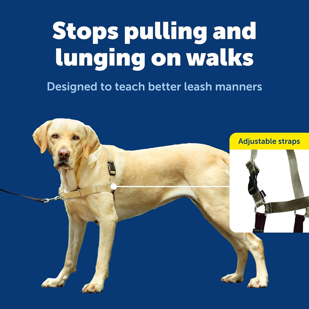 Easy Walk Harness, No Pull Dog Harness, Black, Medium | Patented Martingale Loop Gives Gradual Shoulder Pressure to Stop Pulling, Front-Chest Leash Clip Prevents Gagging