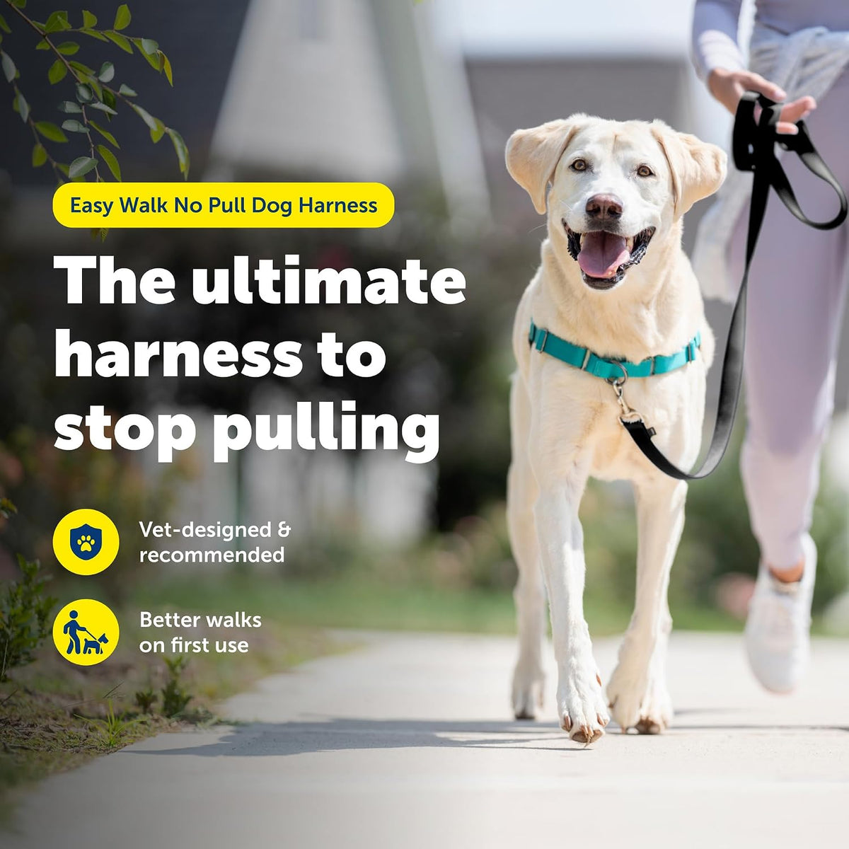 Easy Walk Harness, No Pull Dog Harness, Black, Medium | Patented Martingale Loop Gives Gradual Shoulder Pressure to Stop Pulling, Front-Chest Leash Clip Prevents Gagging