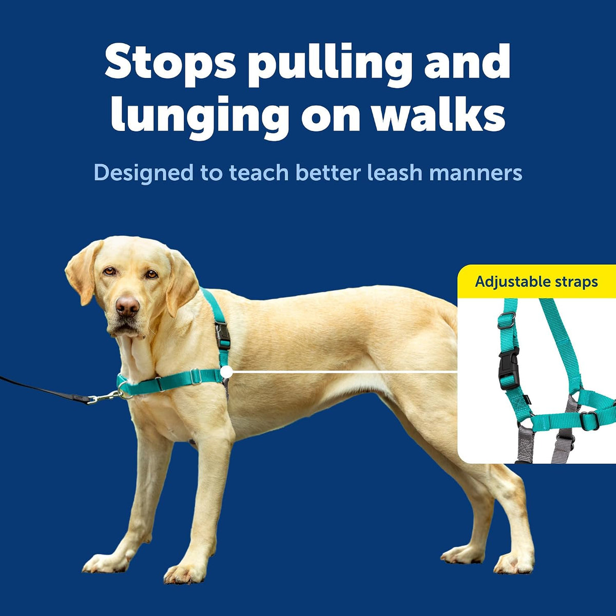 Easy Walk Harness, No Pull Dog Harness, Black, Medium | Patented Martingale Loop Gives Gradual Shoulder Pressure to Stop Pulling, Front-Chest Leash Clip Prevents Gagging