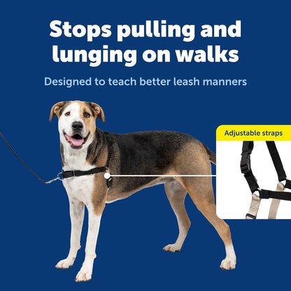 Easy Walk Harness, No Pull Dog Harness, Black, Medium | Patented Martingale Loop Gives Gradual Shoulder Pressure to Stop Pulling, Front-Chest Leash Clip Prevents Gagging