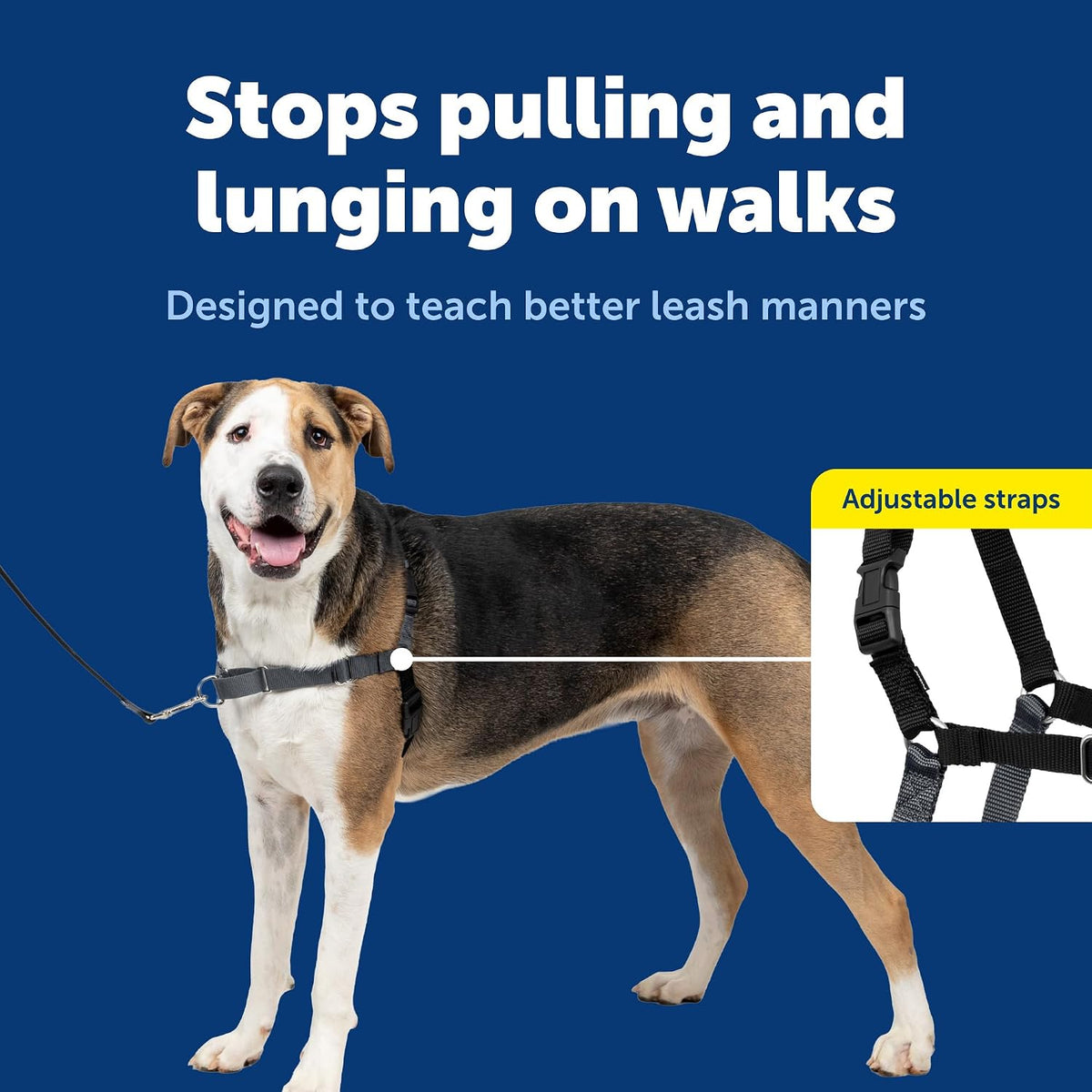 Easy Walk Harness, No Pull Dog Harness, Black, Medium | Patented Martingale Loop Gives Gradual Shoulder Pressure to Stop Pulling, Front-Chest Leash Clip Prevents Gagging