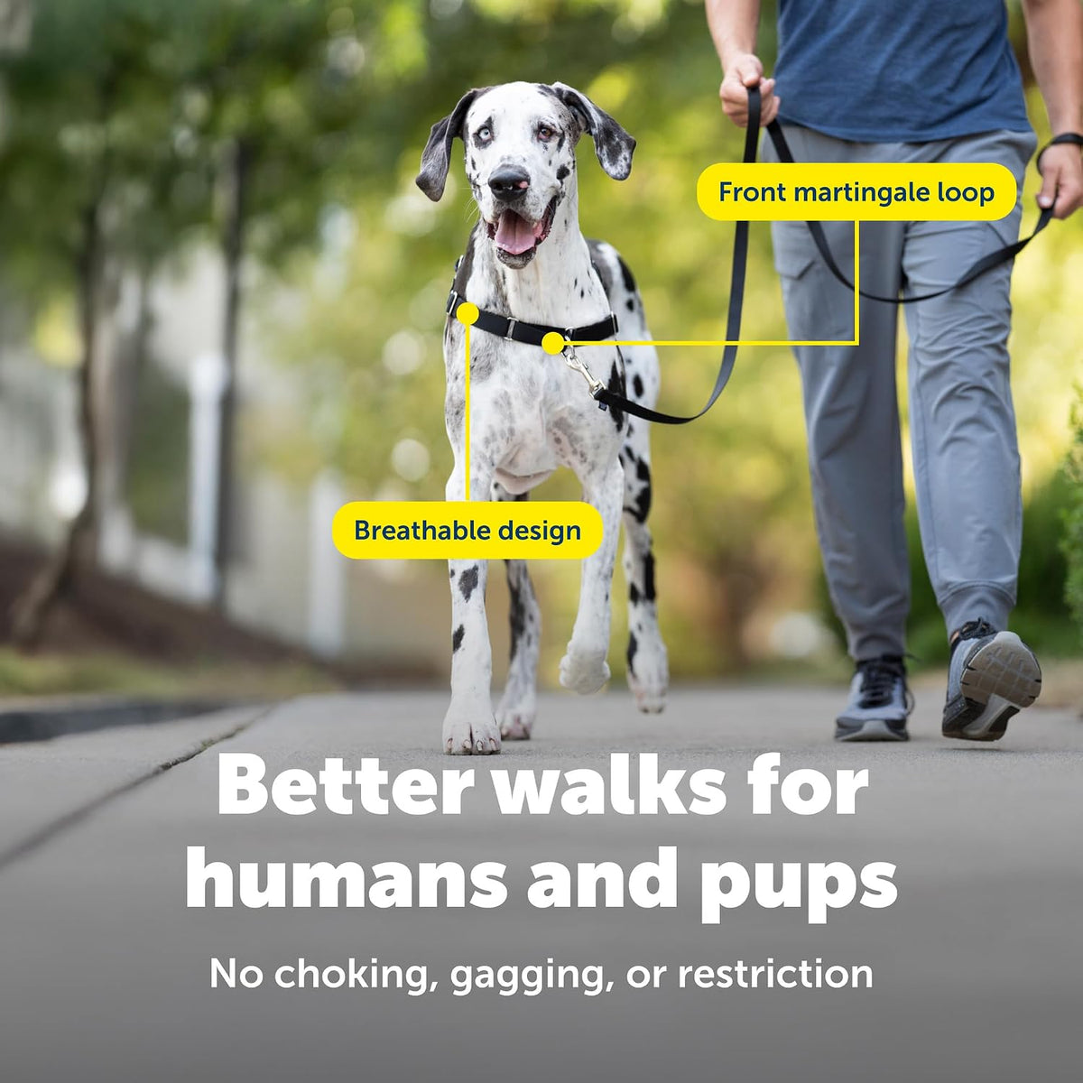 Easy Walk Harness, No Pull Dog Harness, Black, Medium | Patented Martingale Loop Gives Gradual Shoulder Pressure to Stop Pulling, Front-Chest Leash Clip Prevents Gagging