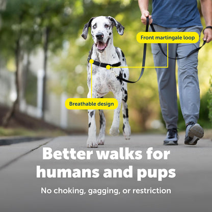 Easy Walk Harness, No Pull Dog Harness, Black, Medium | Patented Martingale Loop Gives Gradual Shoulder Pressure to Stop Pulling, Front-Chest Leash Clip Prevents Gagging