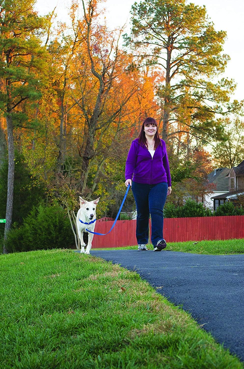 Easy Walk Harness, No Pull Dog Harness, Black, Medium | Patented Martingale Loop Gives Gradual Shoulder Pressure to Stop Pulling, Front-Chest Leash Clip Prevents Gagging