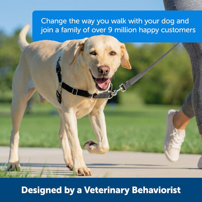 Easy Walk Harness, No Pull Dog Harness, Black, Medium | Patented Martingale Loop Gives Gradual Shoulder Pressure to Stop Pulling, Front-Chest Leash Clip Prevents Gagging