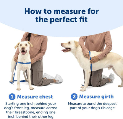 Easy Walk Harness, No Pull Dog Harness, Black, Medium | Patented Martingale Loop Gives Gradual Shoulder Pressure to Stop Pulling, Front-Chest Leash Clip Prevents Gagging