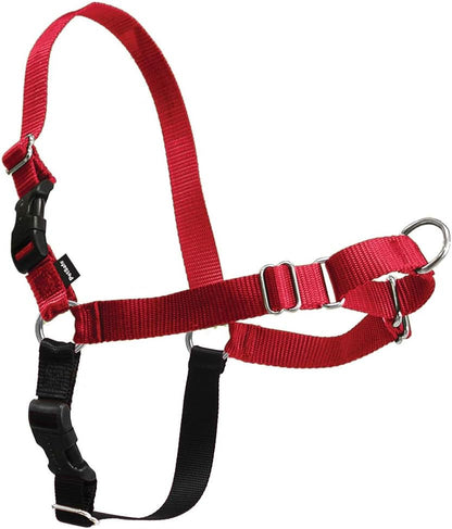 Easy Walk Harness, No Pull Dog Harness, Black, Medium | Patented Martingale Loop Gives Gradual Shoulder Pressure to Stop Pulling, Front-Chest Leash Clip Prevents Gagging