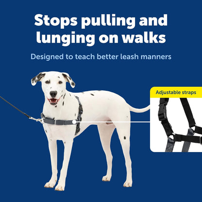 Easy Walk Harness, No Pull Dog Harness, Black, Medium | Patented Martingale Loop Gives Gradual Shoulder Pressure to Stop Pulling, Front-Chest Leash Clip Prevents Gagging