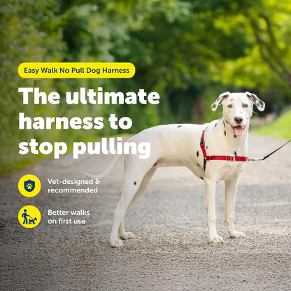 Easy Walk Harness, No Pull Dog Harness, Black, Medium | Patented Martingale Loop Gives Gradual Shoulder Pressure to Stop Pulling, Front-Chest Leash Clip Prevents Gagging