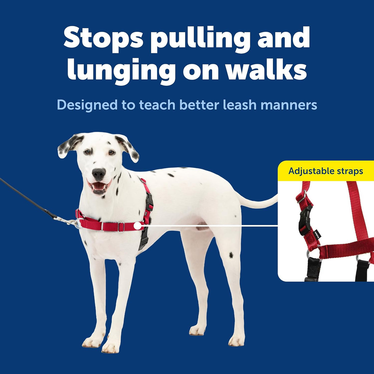 Easy Walk Harness, No Pull Dog Harness, Black, Medium | Patented Martingale Loop Gives Gradual Shoulder Pressure to Stop Pulling, Front-Chest Leash Clip Prevents Gagging