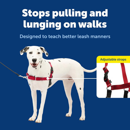 Easy Walk Harness, No Pull Dog Harness, Black, Medium | Patented Martingale Loop Gives Gradual Shoulder Pressure to Stop Pulling, Front-Chest Leash Clip Prevents Gagging