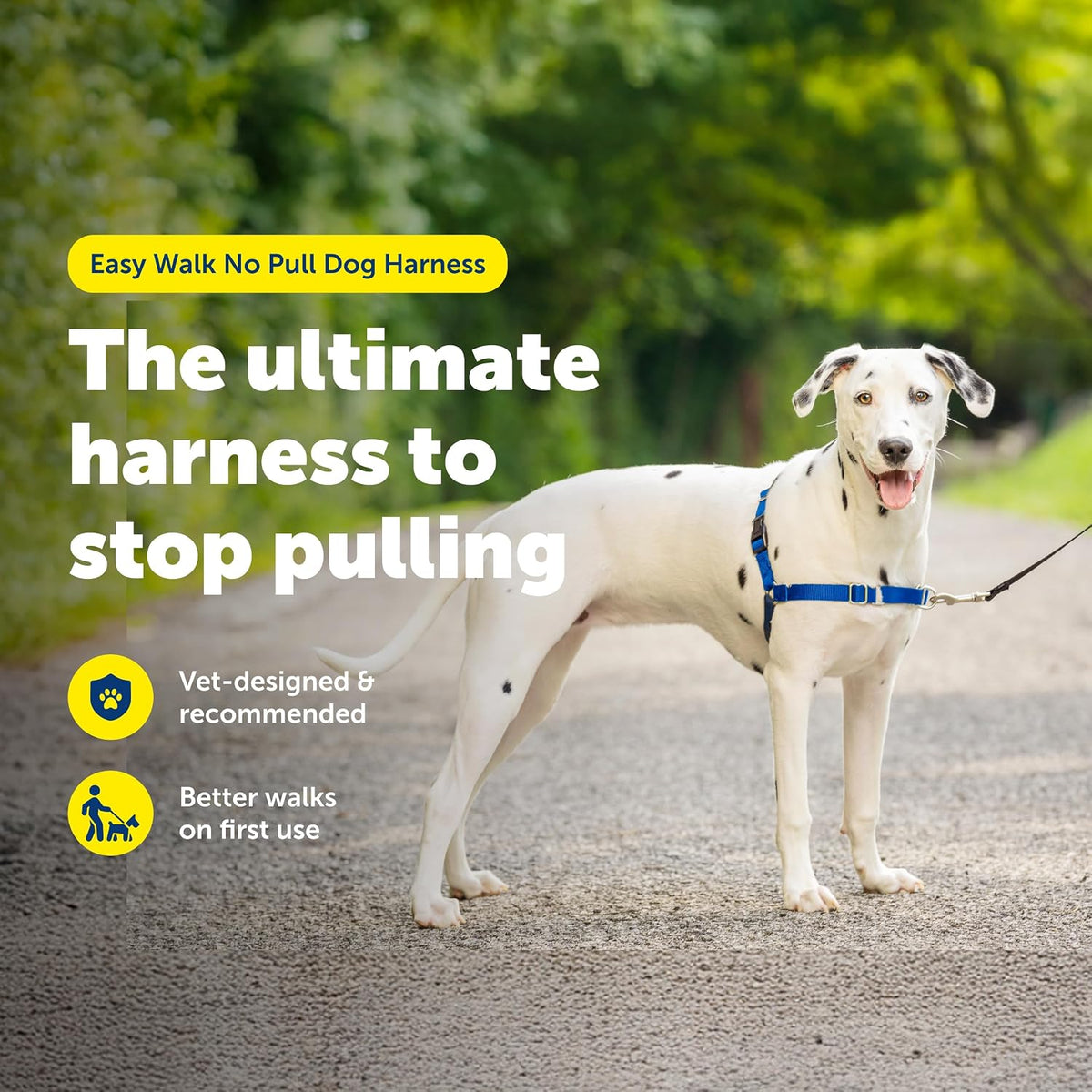 Easy Walk Harness, No Pull Dog Harness, Black, Medium | Patented Martingale Loop Gives Gradual Shoulder Pressure to Stop Pulling, Front-Chest Leash Clip Prevents Gagging