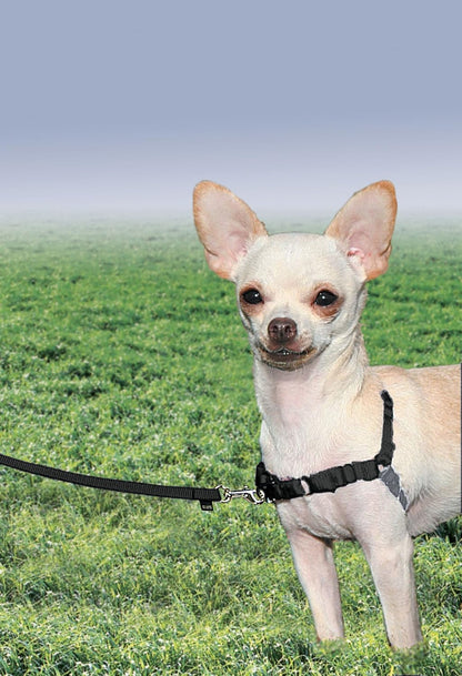 Easy Walk Harness, No Pull Dog Harness, Black, Medium | Patented Martingale Loop Gives Gradual Shoulder Pressure to Stop Pulling, Front-Chest Leash Clip Prevents Gagging