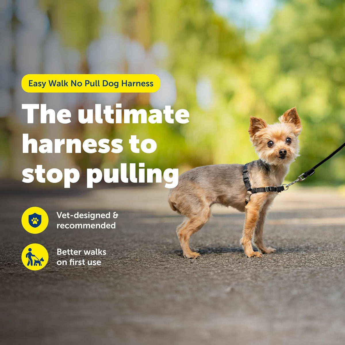 Easy Walk Harness, No Pull Dog Harness, Black, Medium | Patented Martingale Loop Gives Gradual Shoulder Pressure to Stop Pulling, Front-Chest Leash Clip Prevents Gagging