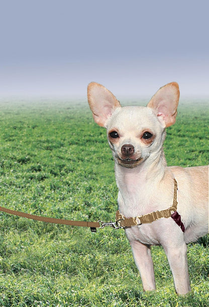 Easy Walk Harness, No Pull Dog Harness, Black, Medium | Patented Martingale Loop Gives Gradual Shoulder Pressure to Stop Pulling, Front-Chest Leash Clip Prevents Gagging