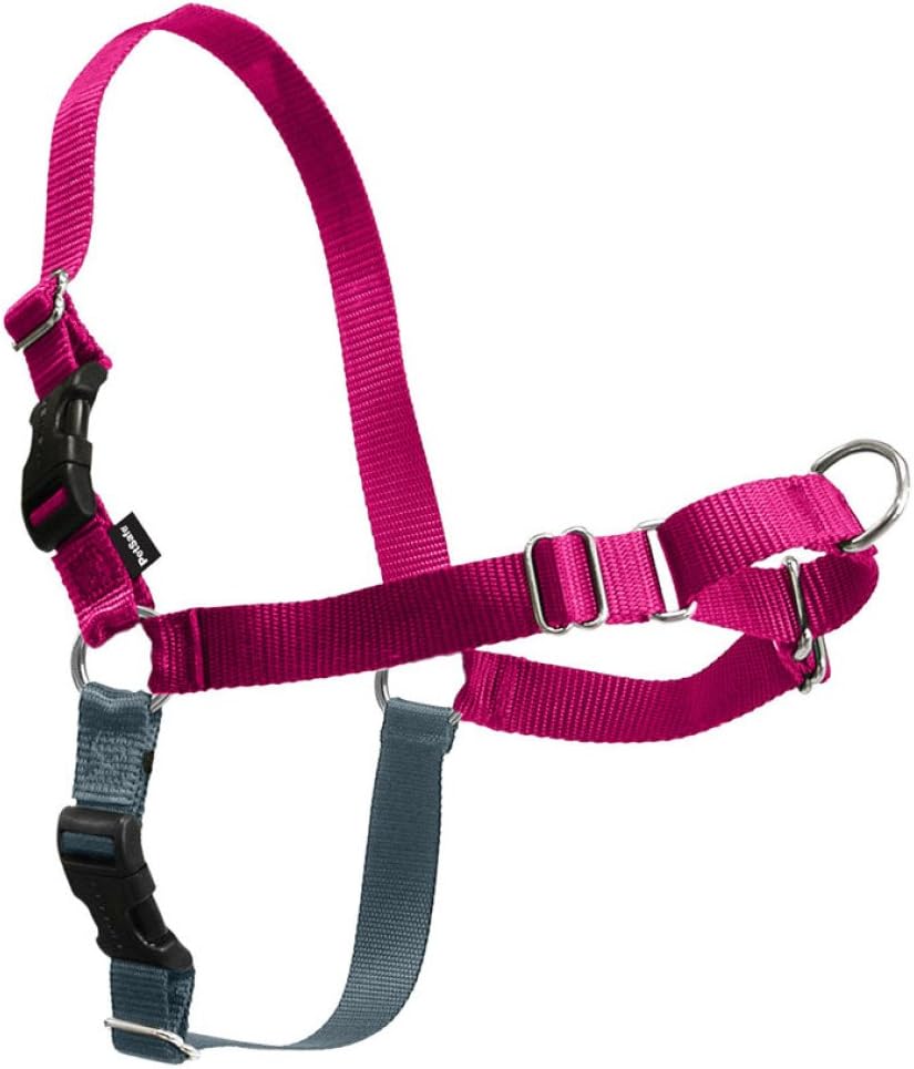 Easy Walk Harness, No Pull Dog Harness, Black, Medium | Patented Martingale Loop Gives Gradual Shoulder Pressure to Stop Pulling, Front-Chest Leash Clip Prevents Gagging