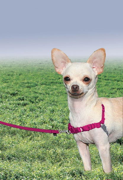 Easy Walk Harness, No Pull Dog Harness, Black, Medium | Patented Martingale Loop Gives Gradual Shoulder Pressure to Stop Pulling, Front-Chest Leash Clip Prevents Gagging