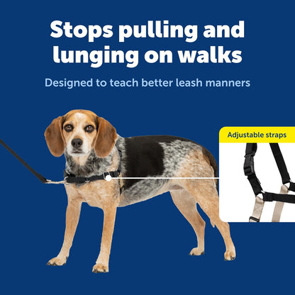 Easy Walk Harness, No Pull Dog Harness, Black, Medium | Patented Martingale Loop Gives Gradual Shoulder Pressure to Stop Pulling, Front-Chest Leash Clip Prevents Gagging