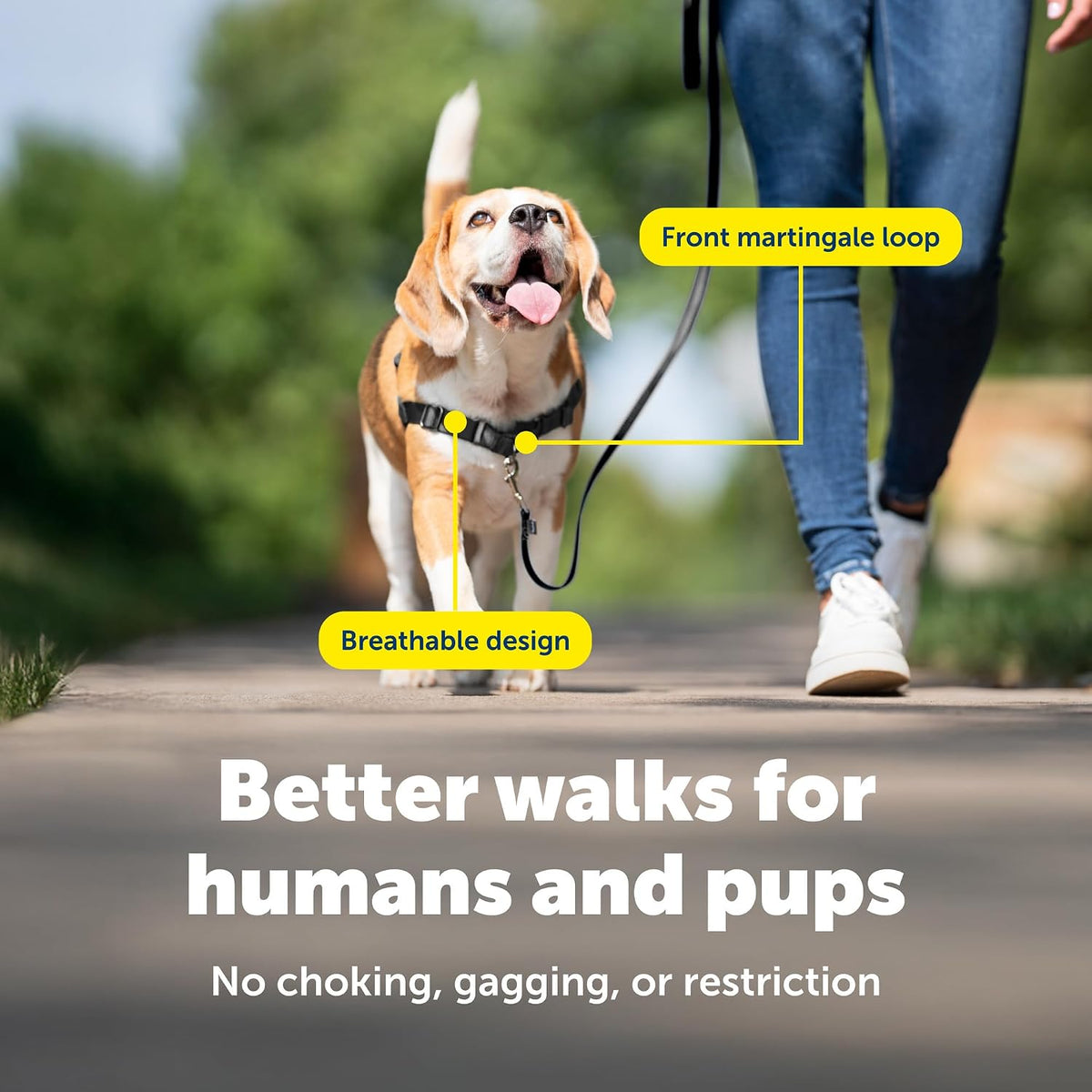 Easy Walk Harness, No Pull Dog Harness, Black, Medium | Patented Martingale Loop Gives Gradual Shoulder Pressure to Stop Pulling, Front-Chest Leash Clip Prevents Gagging