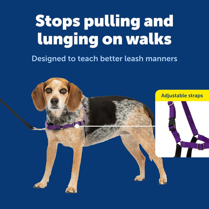 Easy Walk Harness, No Pull Dog Harness, Black, Medium | Patented Martingale Loop Gives Gradual Shoulder Pressure to Stop Pulling, Front-Chest Leash Clip Prevents Gagging