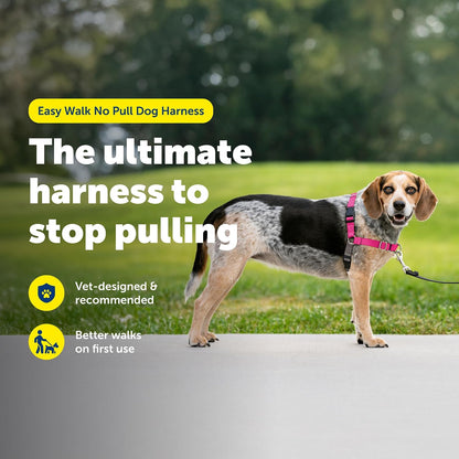 Easy Walk Harness, No Pull Dog Harness, Black, Medium | Patented Martingale Loop Gives Gradual Shoulder Pressure to Stop Pulling, Front-Chest Leash Clip Prevents Gagging