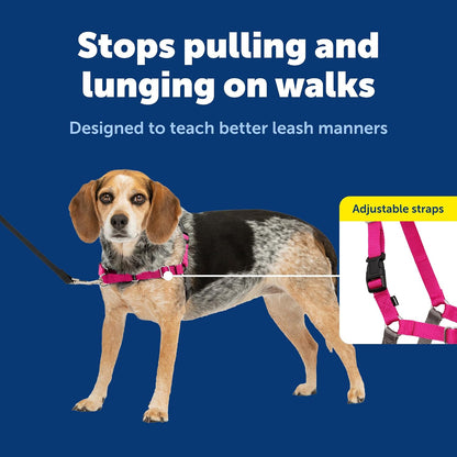 Easy Walk Harness, No Pull Dog Harness, Black, Medium | Patented Martingale Loop Gives Gradual Shoulder Pressure to Stop Pulling, Front-Chest Leash Clip Prevents Gagging