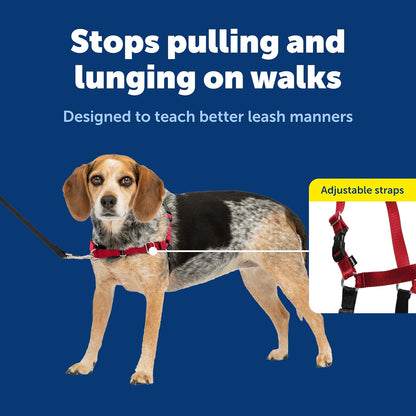 Easy Walk Harness, No Pull Dog Harness, Black, Medium | Patented Martingale Loop Gives Gradual Shoulder Pressure to Stop Pulling, Front-Chest Leash Clip Prevents Gagging