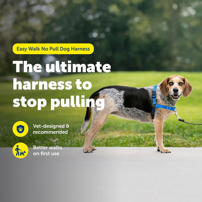 Easy Walk Harness, No Pull Dog Harness, Black, Medium | Patented Martingale Loop Gives Gradual Shoulder Pressure to Stop Pulling, Front-Chest Leash Clip Prevents Gagging