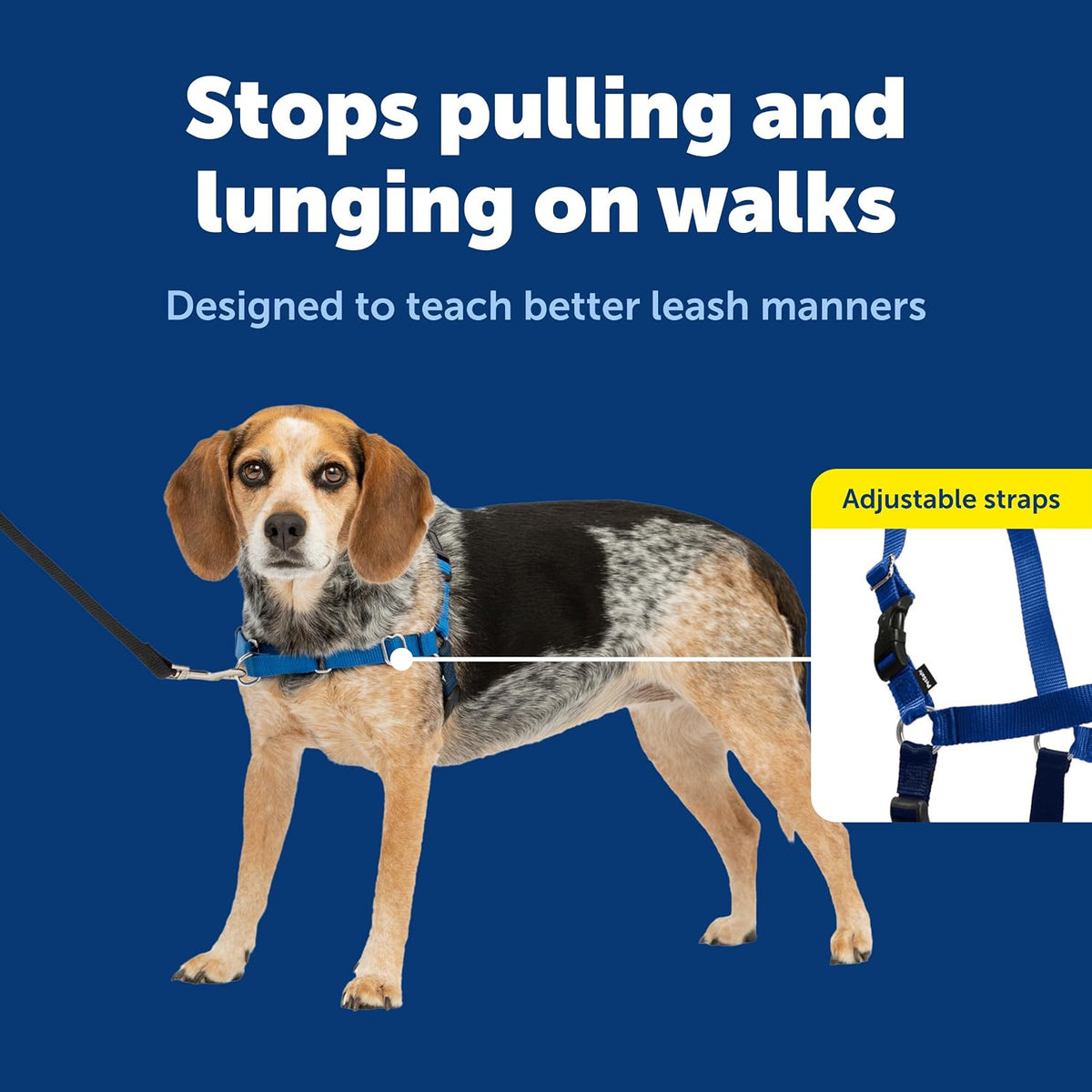 Easy Walk Harness, No Pull Dog Harness, Black, Medium | Patented Martingale Loop Gives Gradual Shoulder Pressure to Stop Pulling, Front-Chest Leash Clip Prevents Gagging