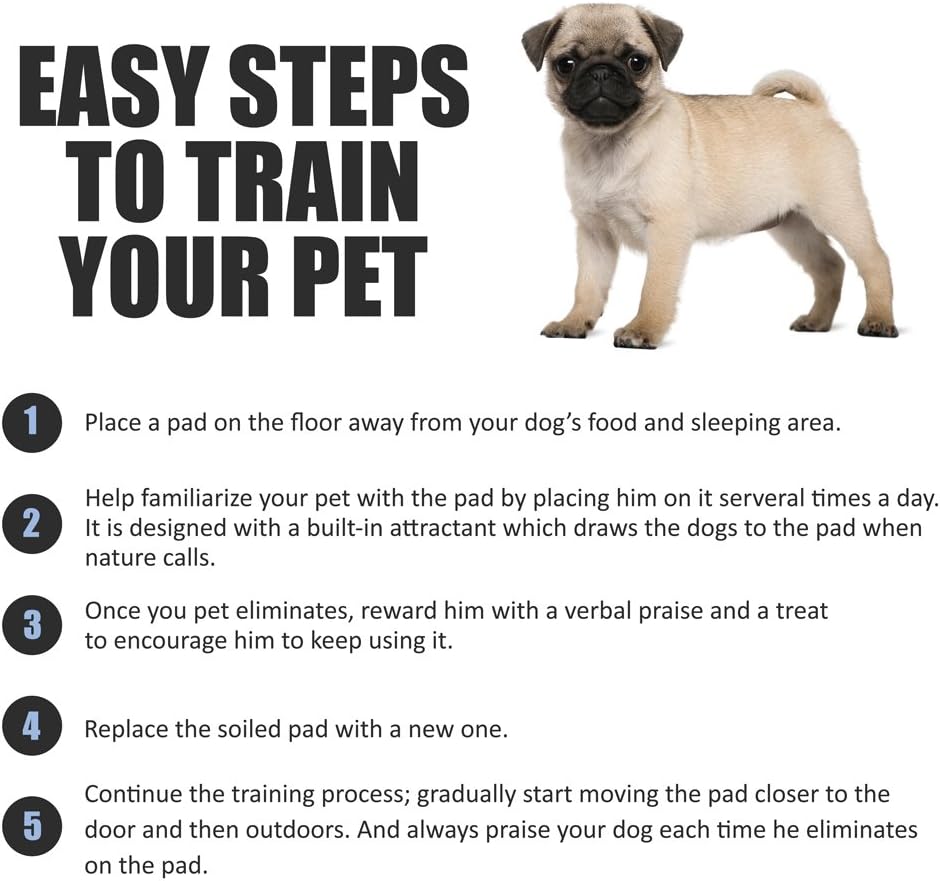 Puppy Pads Leak-Proof 22"x 22" - Absorbent Pee Pads for Dogs with 6-Layer Design, Rapid Dry Sheet & Built-in Attractant - Dog Pad with Odor Control, Perfect for Puppies & Senior Dogs