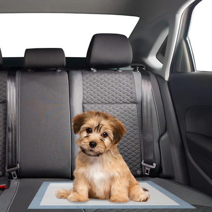 Puppy Pads Leak-Proof 22"x 22" - Absorbent Pee Pads for Dogs with 6-Layer Design, Rapid Dry Sheet & Built-in Attractant - Dog Pad with Odor Control, Perfect for Puppies & Senior Dogs