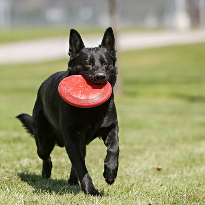 Flyer, Natural Rubber Flying Disc Fetch Toy, for Medium/Large Dogs