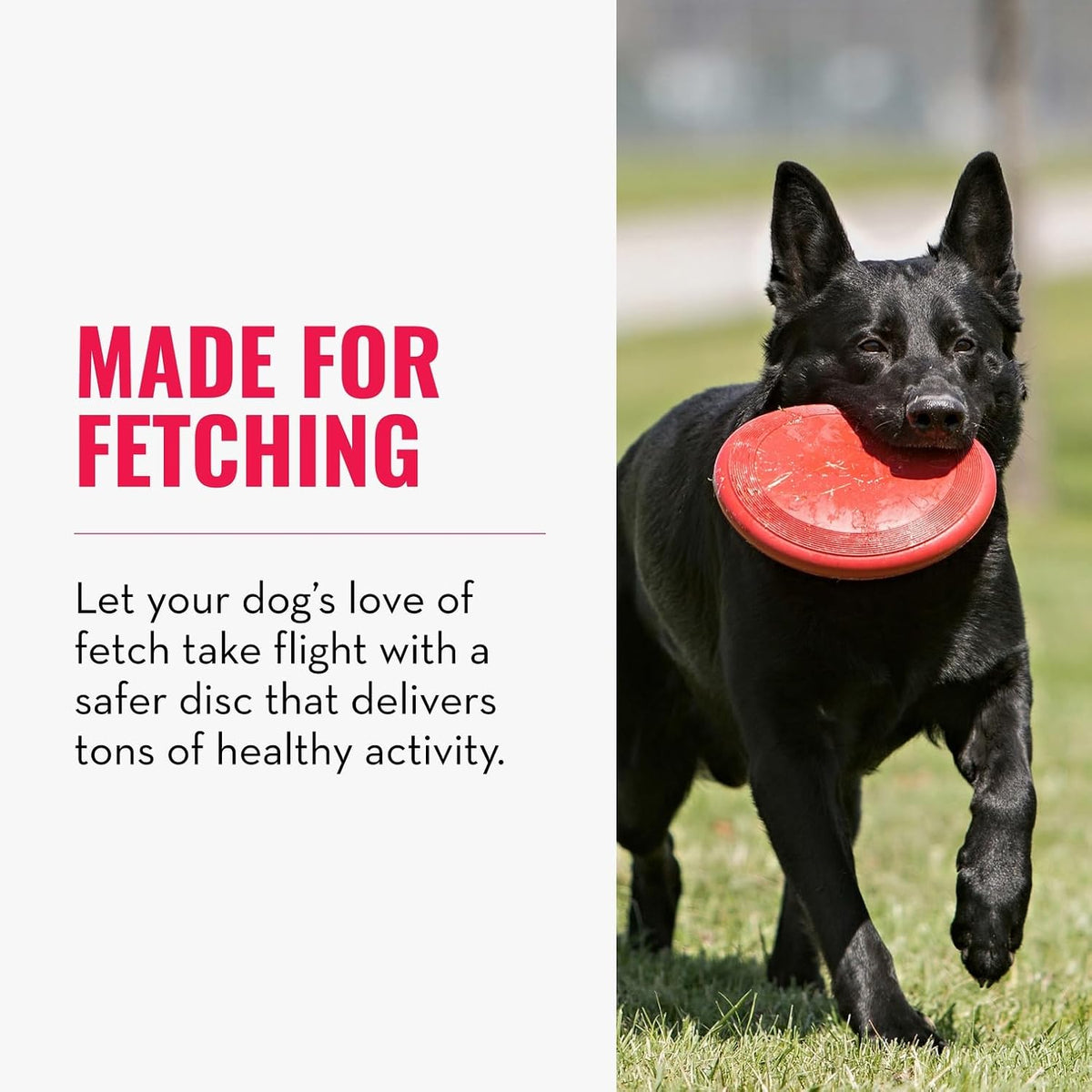 Flyer, Natural Rubber Flying Disc Fetch Toy, for Medium/Large Dogs