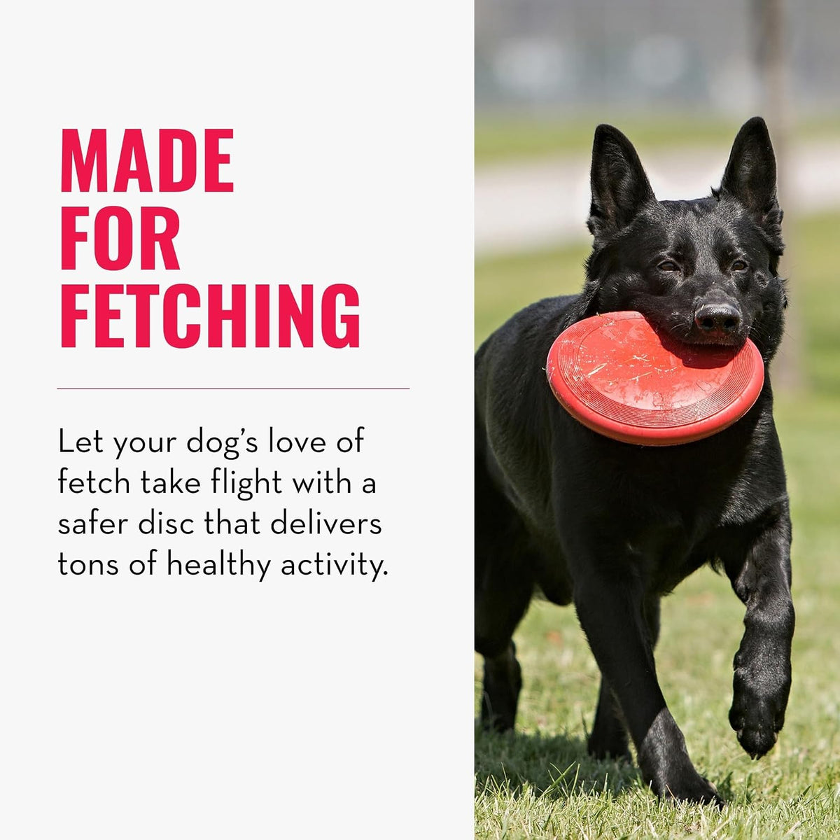 Flyer, Natural Rubber Flying Disc Fetch Toy, for Medium/Large Dogs