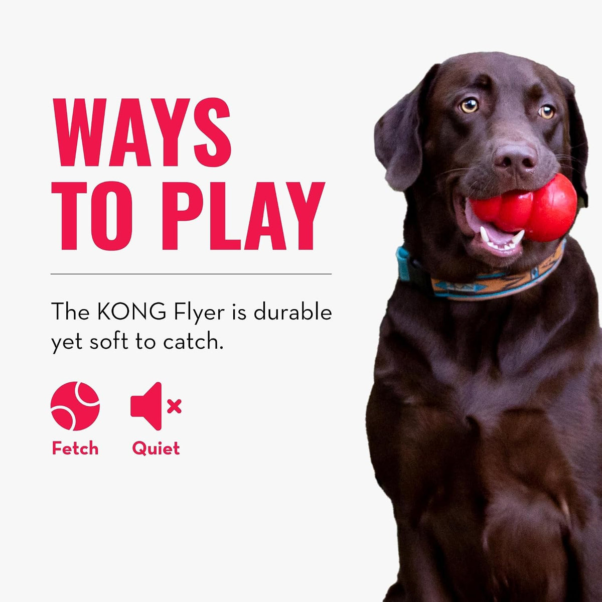 Flyer, Natural Rubber Flying Disc Fetch Toy, for Medium/Large Dogs
