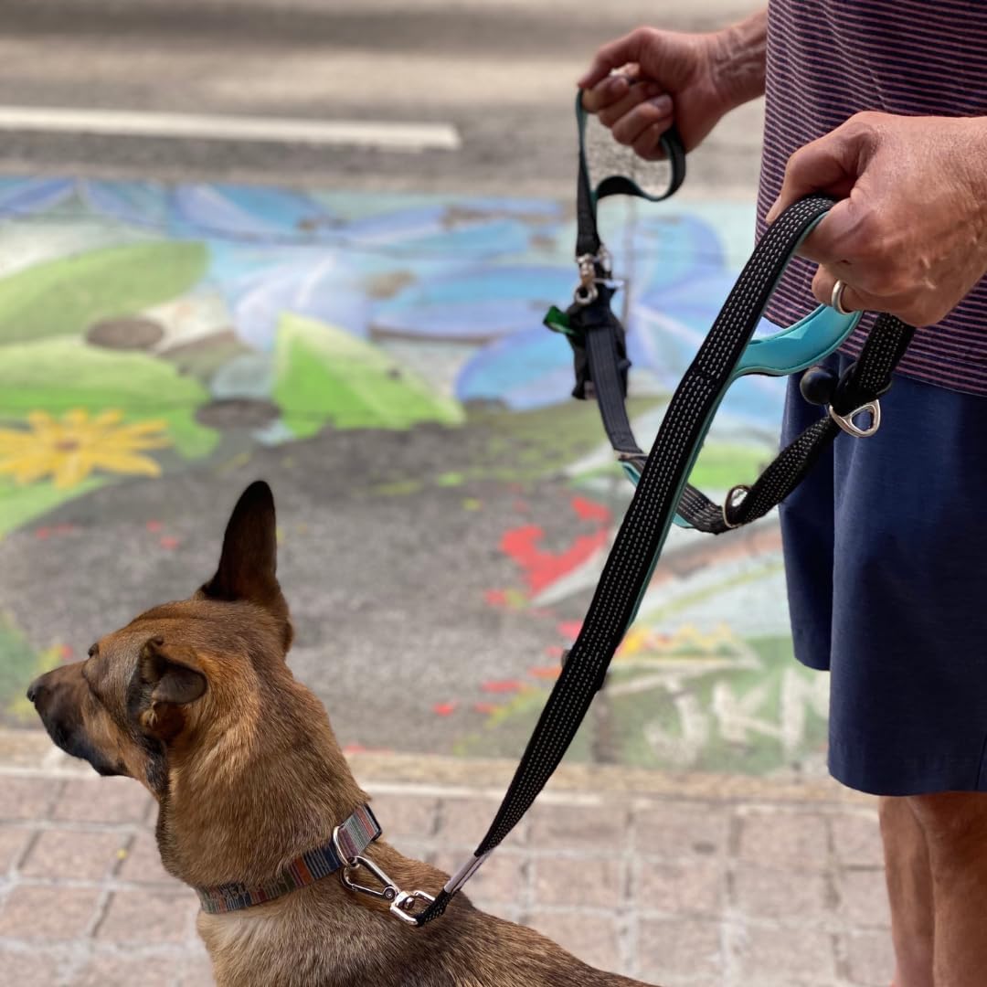 Dog Poop Bag Holder for Leashes and Treat Holder with 2 Waterproof Pouches | Poop Bag Dispenser for Pet Waste Bags and Walking Accessories + 1 Free Roll