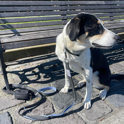 Dog Poop Bag Holder for Leashes and Treat Holder with 2 Waterproof Pouches | Poop Bag Dispenser for Pet Waste Bags and Walking Accessories + 1 Free Roll