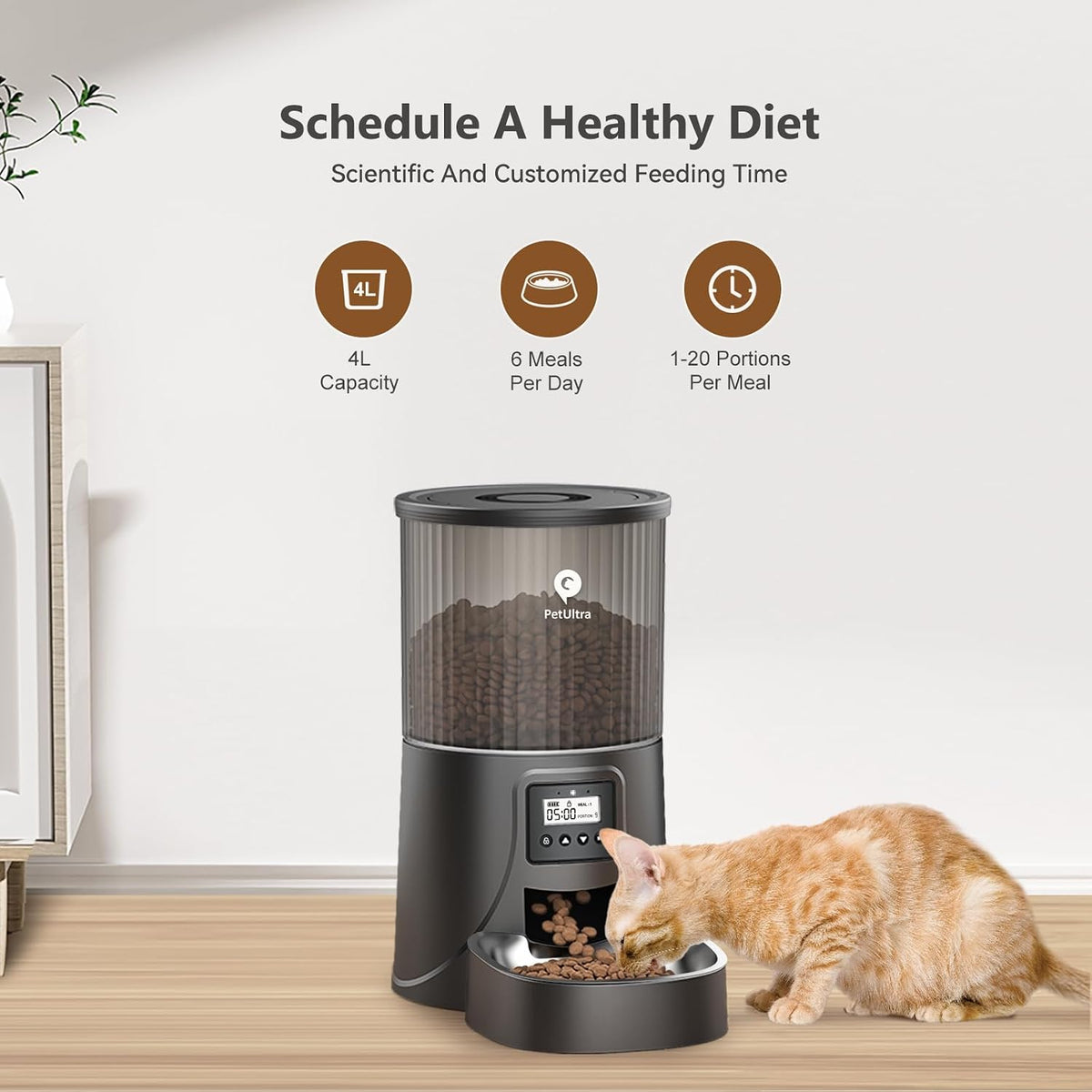 Automatic Cat Feeder: 4L Timed Cats Food Dispenser Programmable